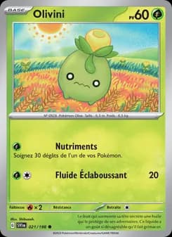 Carte Pokémon
