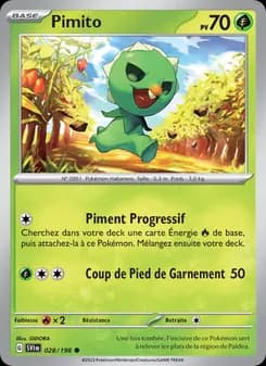 Carte Pokémon