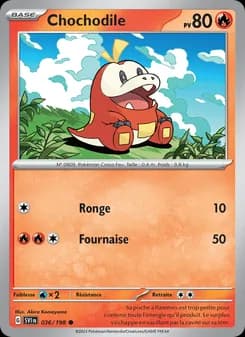 Carte Pokémon