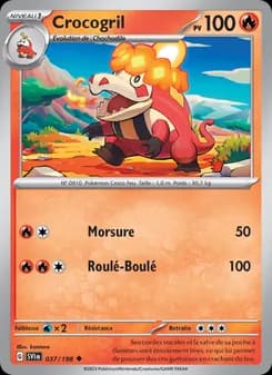 Carte Pokémon