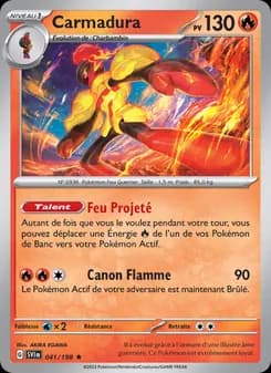 Carte Pokémon