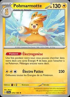 Carte Pokémon
