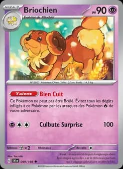 Carte Pokémon