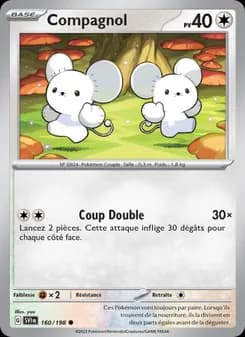 Carte Pokémon