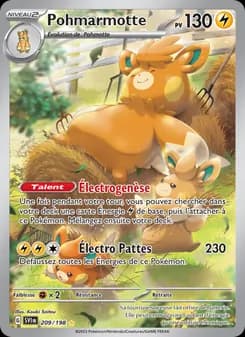 Carte Pokémon