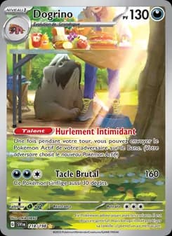 Carte Pokémon