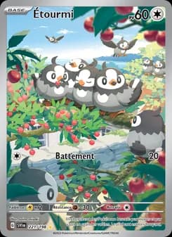 Carte Pokémon
