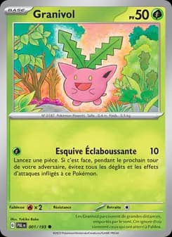 Carte Pokémon