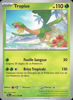 Carte Pokémon