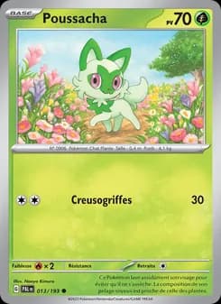 Carte Pokémon