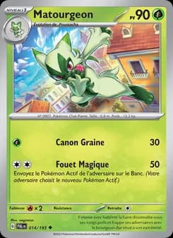 Carte Pokémon