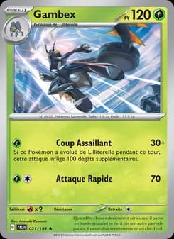 Carte Pokémon