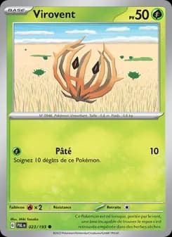 Carte Pokémon