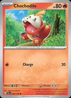 Carte Pokémon