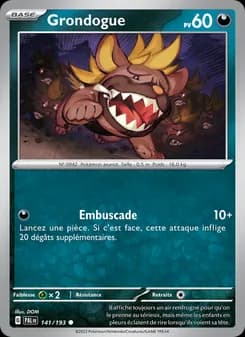 Carte Pokémon