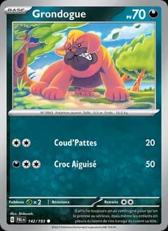 Carte Pokémon