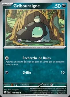 Carte Pokémon