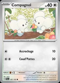 Carte Pokémon
