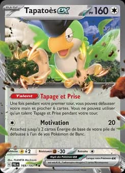 Carte Pokémon