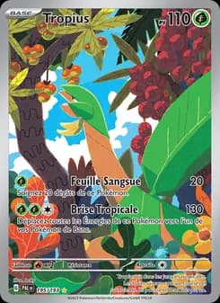 Carte Pokémon
