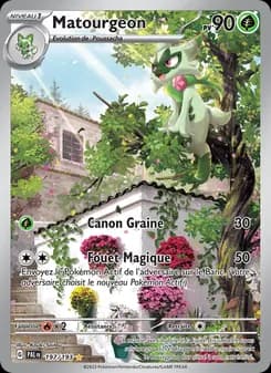 Carte Pokémon