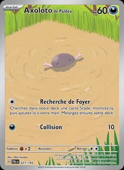 Carte Pokémon