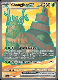 Carte Pokémon