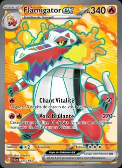 Carte Pokémon