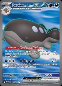 Carte Pokémon