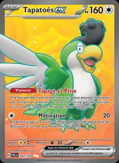 Carte Pokémon