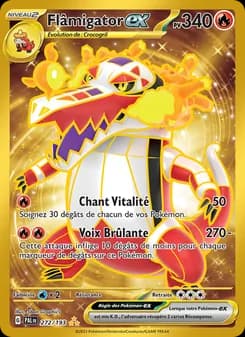 Carte Pokémon