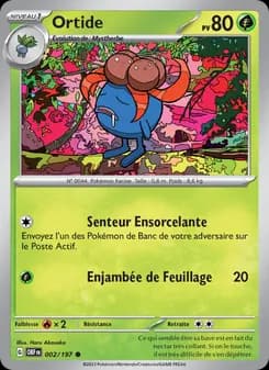 Carte Pokémon