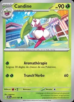 Carte Pokémon