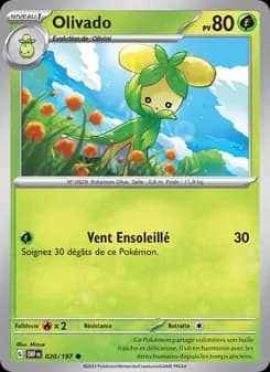 Carte Pokémon