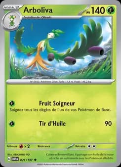 Carte Pokémon