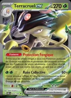 Carte Pokémon