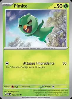 Carte Pokémon