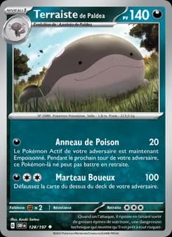 Carte Pokémon