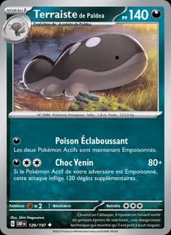 Carte Pokémon