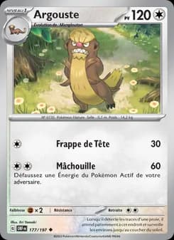 Carte Pokémon