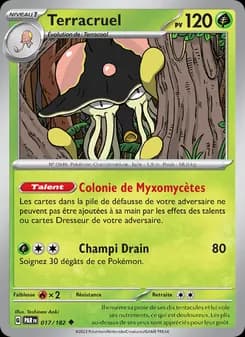 Carte Pokémon