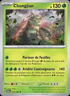 Carte Pokémon