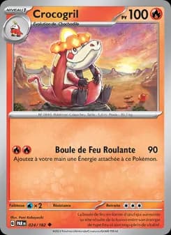 Carte Pokémon