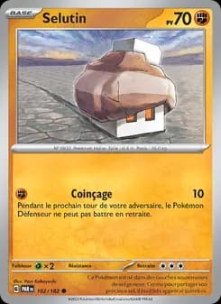 Carte Pokémon
