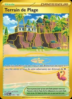 Carte Pokémon