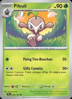 Carte Pokémon