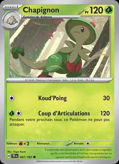 Carte Pokémon