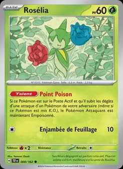Carte Pokémon