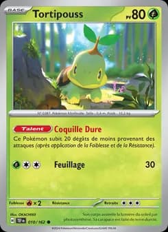 Carte Pokémon