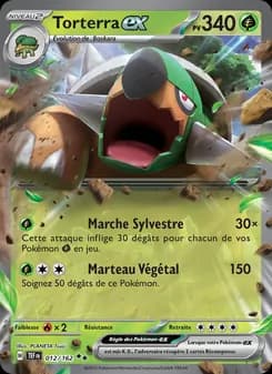Carte Pokémon